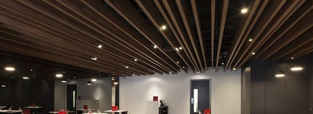 Timber-Ceiling-v02-646x236