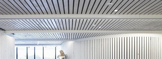 Timber-Ceiling-v03-646x236