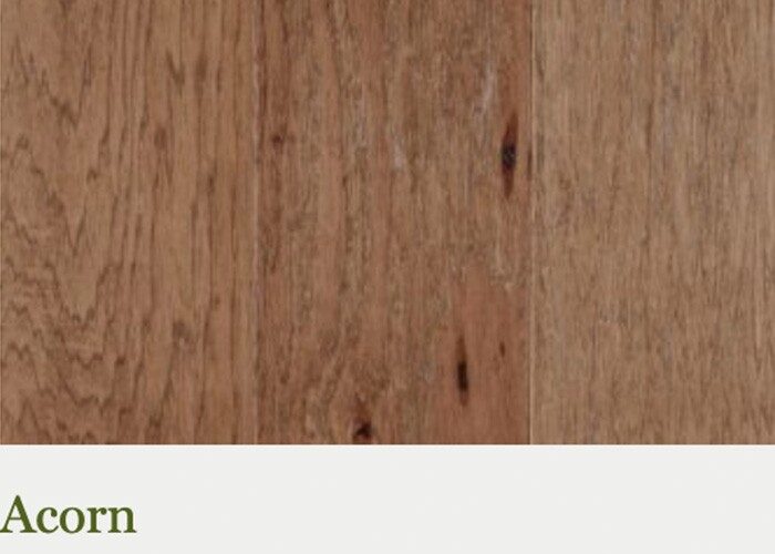 Hickory-Acorn